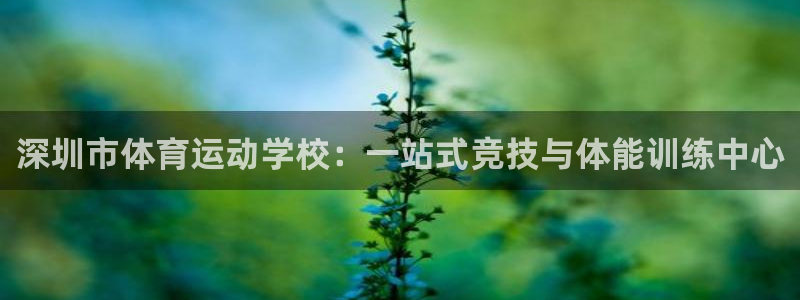 vsport体育官网下载招商电话：深圳市体育运动学校