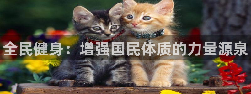 vsport体育官方正版app集团官网首页：全民健身