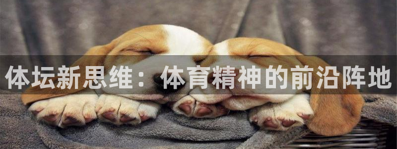vsport体育官网下载招商电话是多少号码：体坛新思
