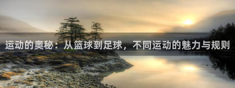 海南vsport体育官网下载发展怎么样：运动的奥秘：