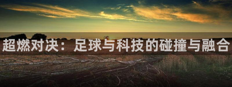 注册vsport体育官方正版app：超燃对决：足球与