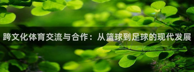 vsport体育官网下载娱乐：跨文化体育交流与合作：