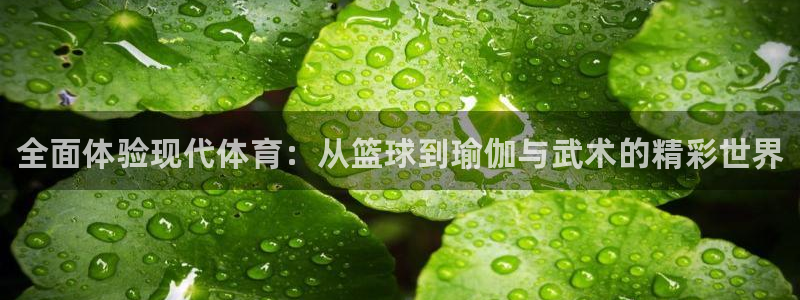 vsport体育官方正版app娱乐下载：全面体验现代