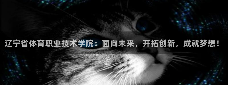 vsport体育官方正版app娱乐代理怎么样：辽宁省