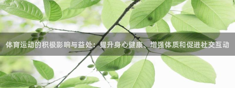 vsport体育官网下载平台假的吗是真的吗：体育运动的积极影