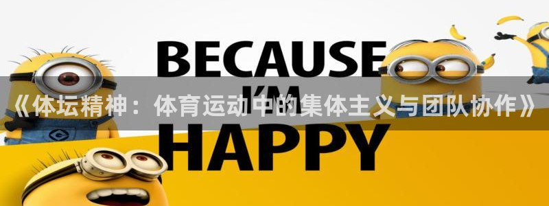 vsport体育官方正版app代理：《体坛精神：体育运动中的