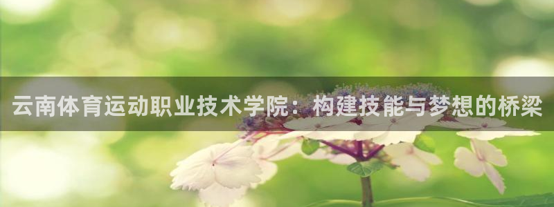 注册vsport体育官方正版app：云南体育运动职业技术学院