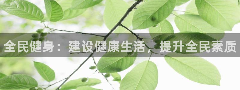 vsport体育官方正版app官网：全民健身：建设健