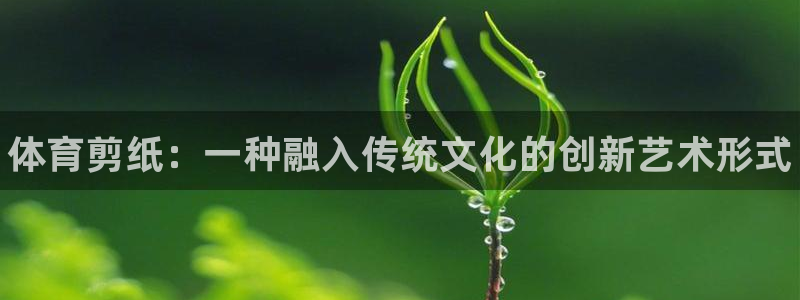 vsport体育官网下载招商电话号码