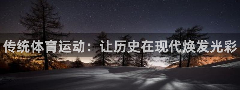 vsport体育官方正版app集团logo：传统体育
