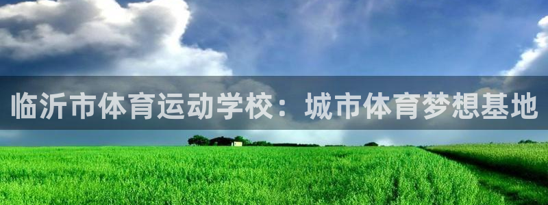 vsport体育官网下载平台注册流程图：临沂市体育运
