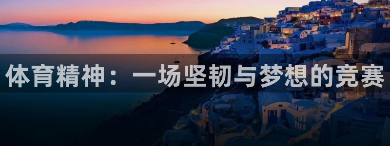 vsport体育官网下载平台APP：体育精神：一场坚