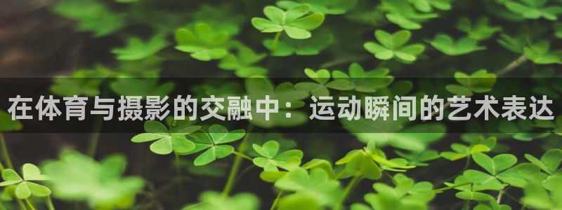 vsport体育官网下载招商电话地址：在体育与摄影的