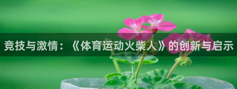 vsport体育官网下载软件：竞技与激情：《体育运动