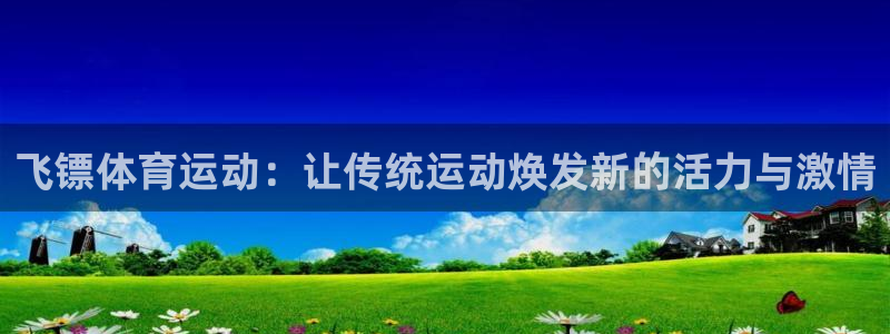 海南vsport体育官网下载发展怎么样：飞镖体育运动