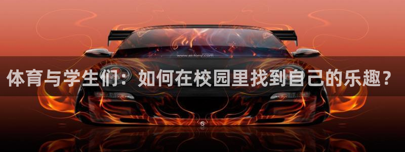 vsport体育官方正版app集团官网首页：体育与学