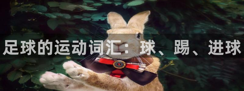 海南vsport体育官网下载