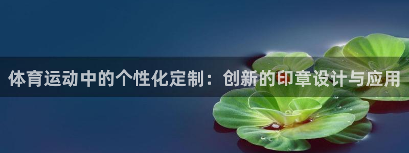 vsport体育官网下载招商：体育运动中的个性化定制：创新的