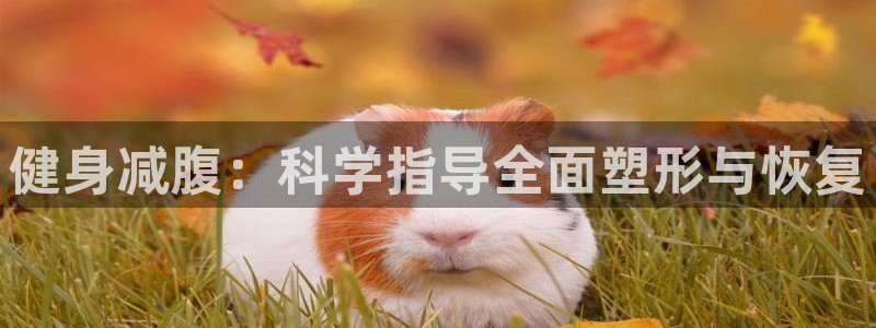 海南vsport体育官网下载：健身减腹：科学指导全面