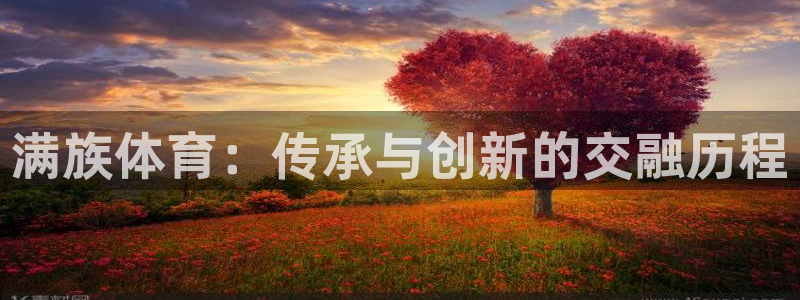 vsport体育官网下载开户