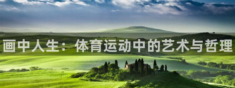 vsport体育官网下载平台是正规平台吗：画中人生：体育运动
