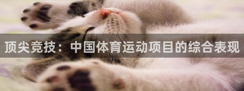vsport体育官网下载软件：顶尖竞技：中国体育运动项目的综