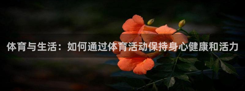 vsport体育官方正版app集团官网网址