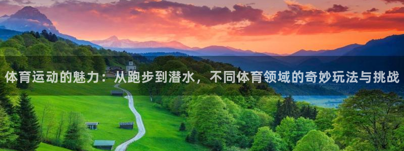 vsport体育官网下载娱乐
