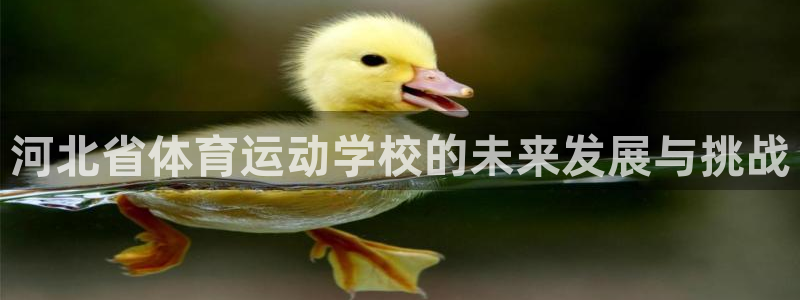 vsport体育官方正版app娱乐代理怎么样：河北省体育运动