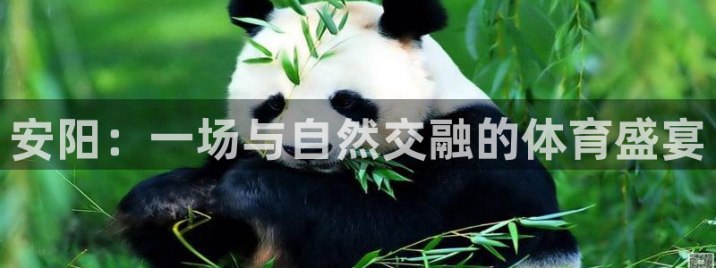 vsport体育官方正版app娱乐代理怎么样：安阳：