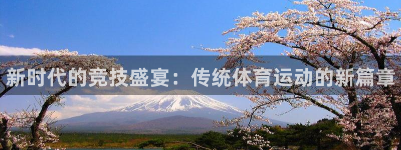 vsport体育官方正版app开户：新时代的竞技盛宴：传统体