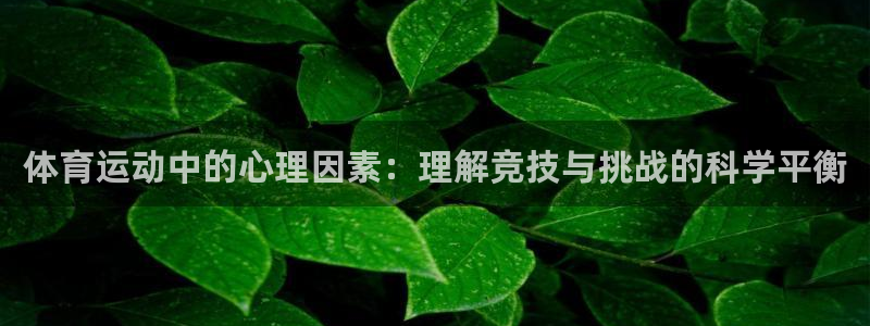 vsport体育官方正版app娱乐是那个系列的台子：体育运动