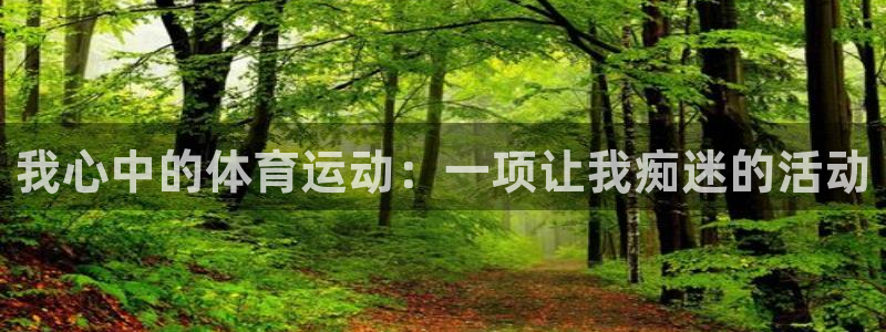 vsport体育官方正版app集团E.ON：我心中的体育运动