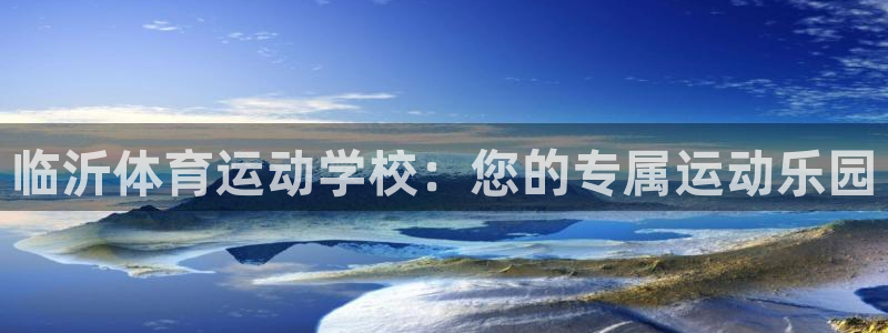 vsport体育平台app：临沂体育