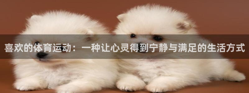 vSport体育在线登录平台：喜欢的体育运动：一种让心灵得到