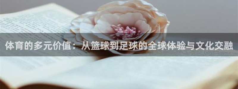  vsport体育平台app下载安装免费：体育的多元价值：从篮