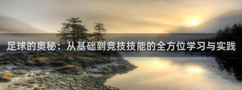 vsport体育平台app：足球的奥