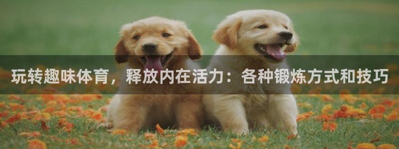 vsport体育在线官网阿根廷：玩转