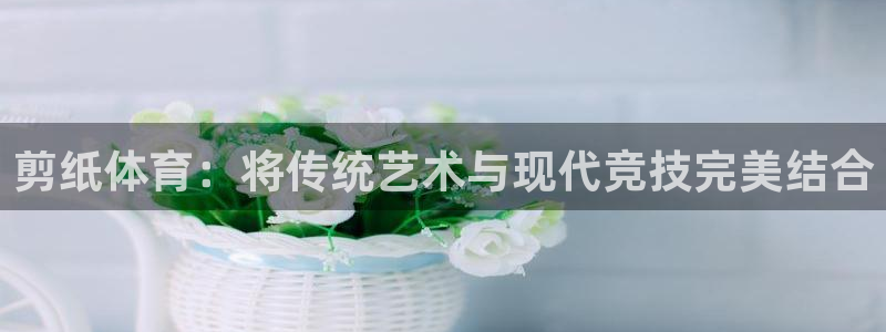 vSport体育app最新版本更新内