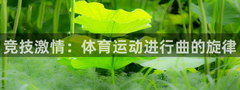  vsport体育官网：竞技激情：体育运动进行曲的旋律