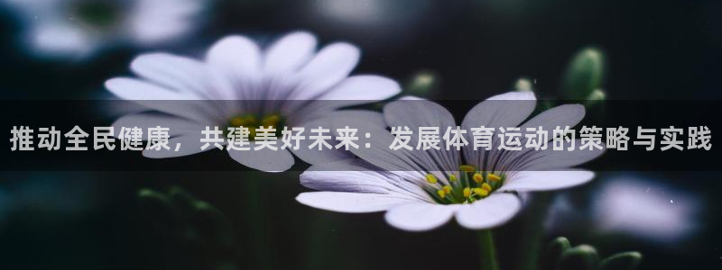 vsport体育平台app：推动全民