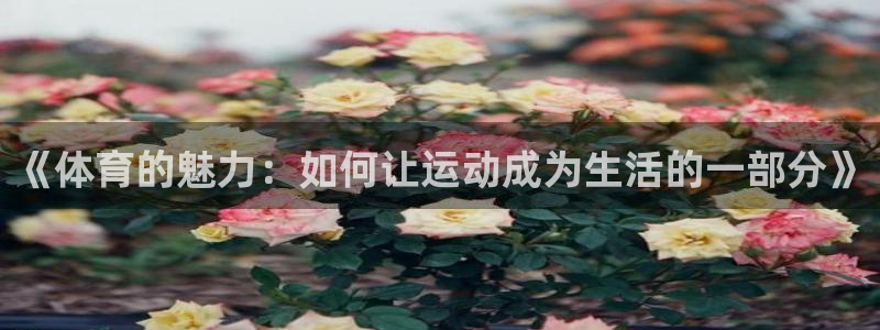  vsport体育官网：《体育的魅力：如何让运动成为生活的一部