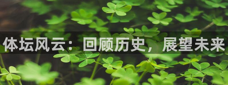  vsport体育：体坛风云：回顾历史，展望未来