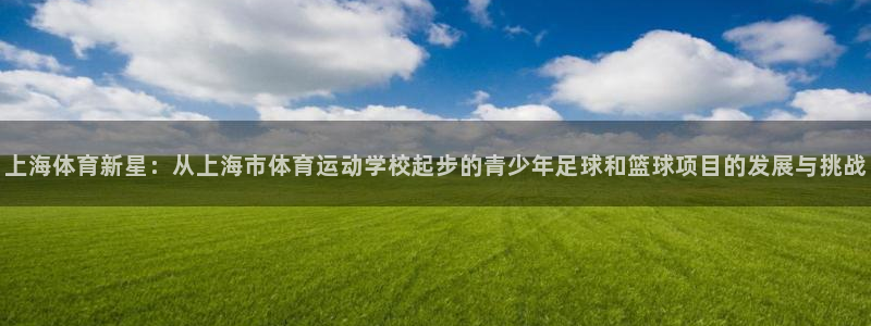  vsport体育平台app下载安装免费：上海体育新星：从上海