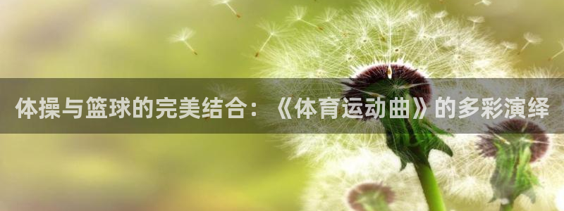 vSport体育app最新版本更新内容