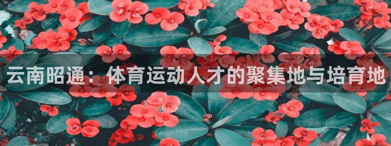 vsport体育官网下载招商电话号码是多少啊：云南昭通：体育