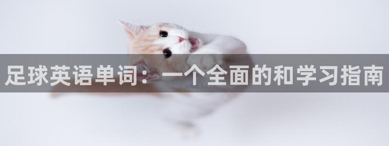 vsport体育官网下载平台：足球英语单词：一个全面的和学习