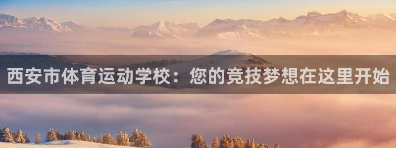 vsport体育官方正版app集团：西安市体育运动学校：您的