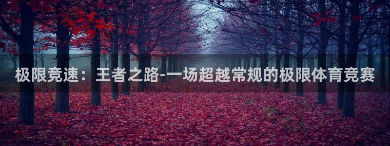 vsport体育官网下载