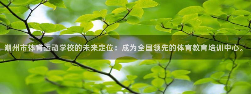 vsport体育官方正版app集团logo